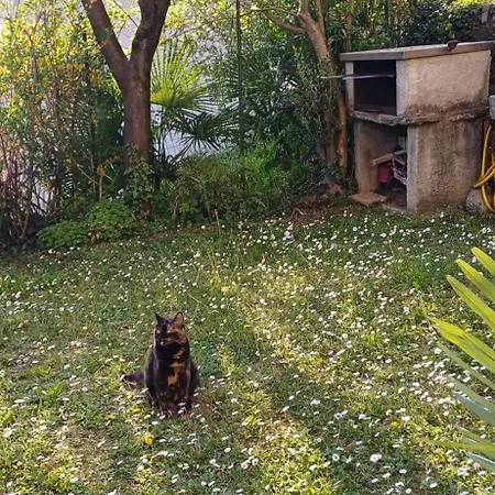Casa Vista E Giardino Porlezza