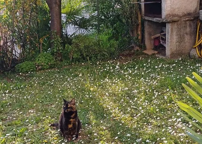 Casa Vista E Giardino Porlezza